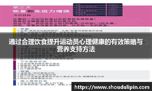 MK体育股份公司